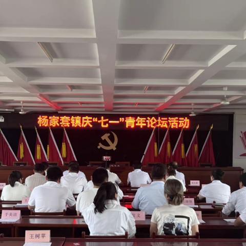 杨家套镇召开庆“七一”青年干部论坛