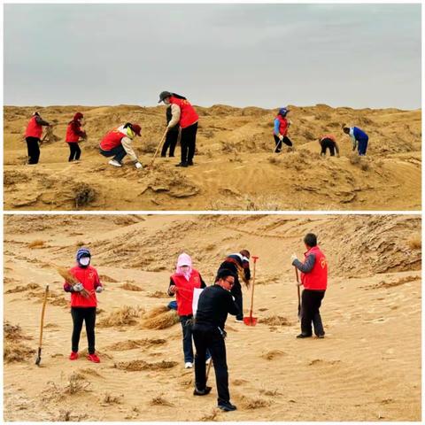 绿色希望，植树为先 西渠镇人大代表在行动