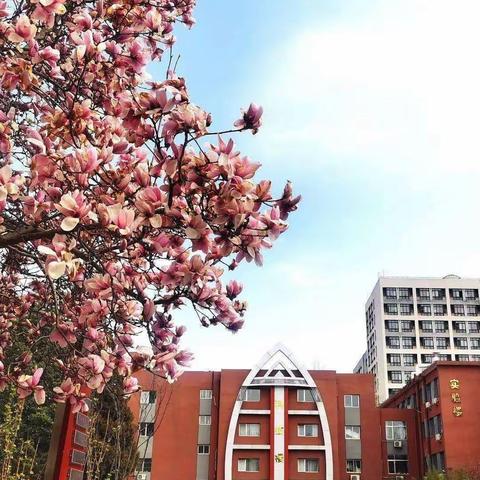 跟岗学习谋突破，且学且思促成长——第九师教师赴北京海淀区实验中学跟岗学习纪实