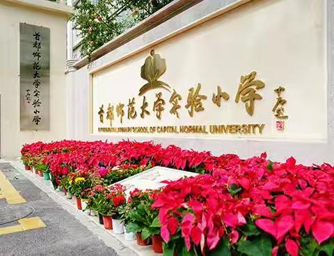 优化作业重提质 跟岗学习促成长