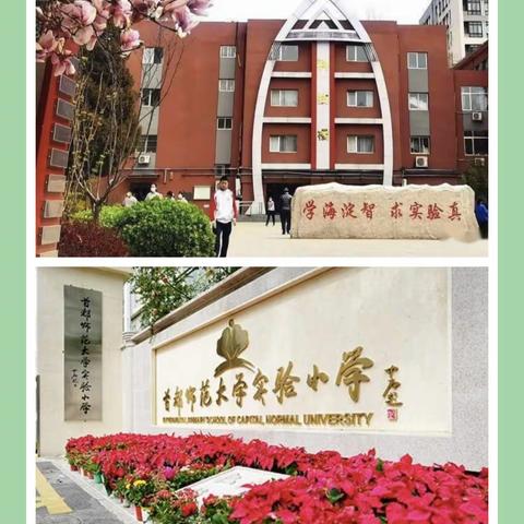 且学且思  向上向阳  一路成长