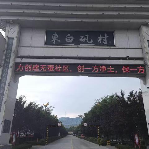 东白矾社区: 坚持党建引领  筑牢禁毒防线
