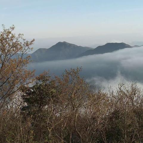 蒙顶山