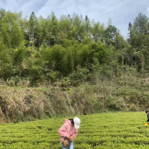 亲近自然     感受春色——记都亭第一小学春假实践活动