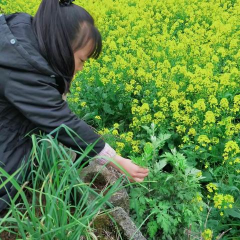 “家乡的美食”———十一学校二年级组语文实践活动