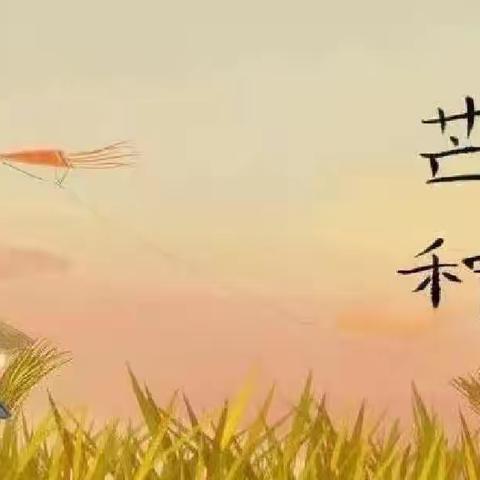 芒种至，仲夏叶——夹山中心幼儿园活动