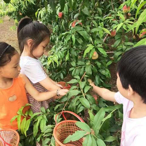 石门桥镇第二中心幼儿园文化建设