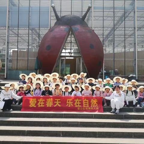 锦绣幼儿园研学旅行《昆虫🪲王国》