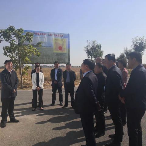 固城镇10.10工作动态