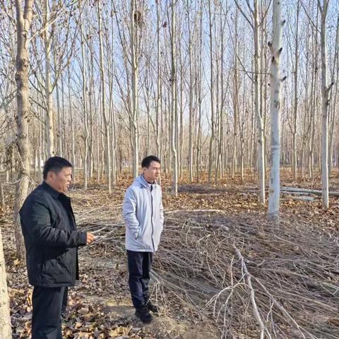 固城镇12.23工作动态