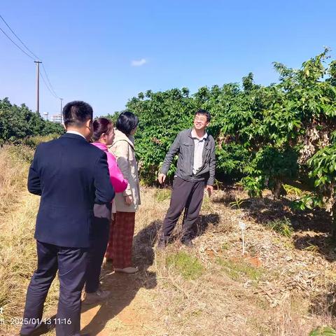 海口农技中心开展测土配方基础荔枝实验点位巡查工作