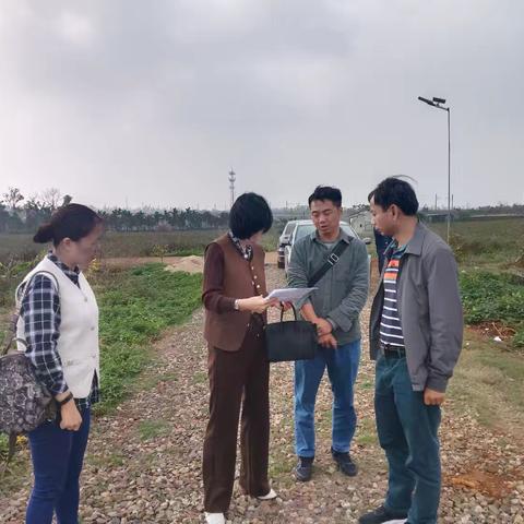 市农业农村局和海口市农技中心联合开展2025年春季种苗调查抽检工作