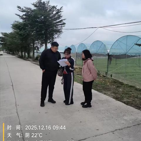 海口市农业技术推广中心开展2025年常年蔬菜基地建设工作技术指导