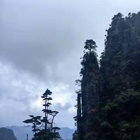 莽山五指峰探秘之旅