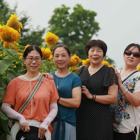 七八届同学四十五年相会在孝感