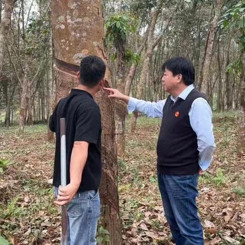 长龙片区：森林防火与冬春管理两不误，暖阳下干部与职工群众共绘防火与冬春管画卷！