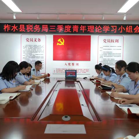 国家税务总局柞水县税务局开展三季度青年理论学习小组集体学习