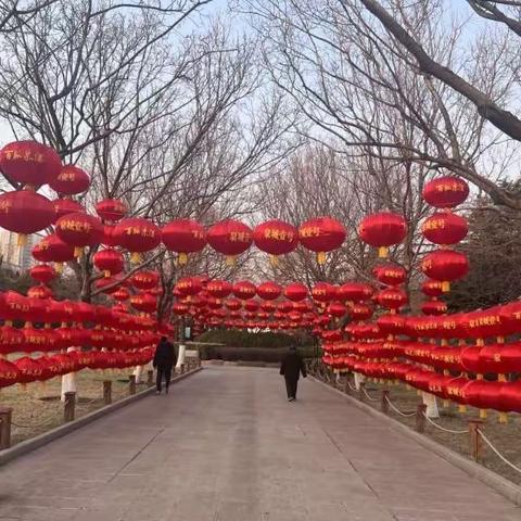 大红灯笼高高挂  龙行龘龘过大年