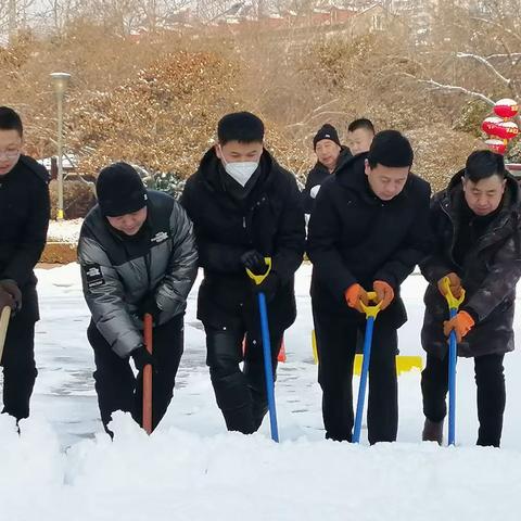 飞雪迎春到，全员扫雪闹