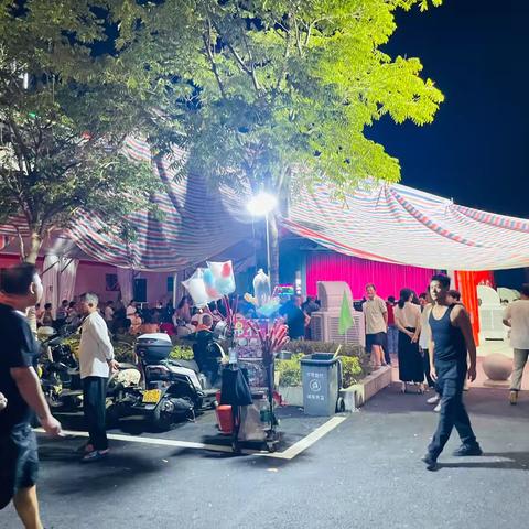 东宅村做戏：夜幕下的文化盛宴