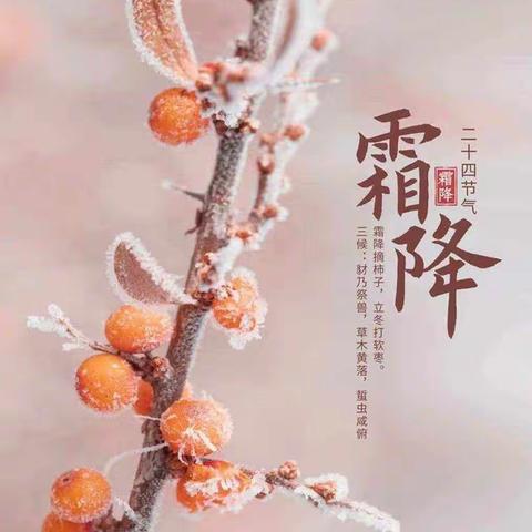 遇见节气•霜降｜浅碧露凝华，霜寒木叶秋——星焜启航幼儿园