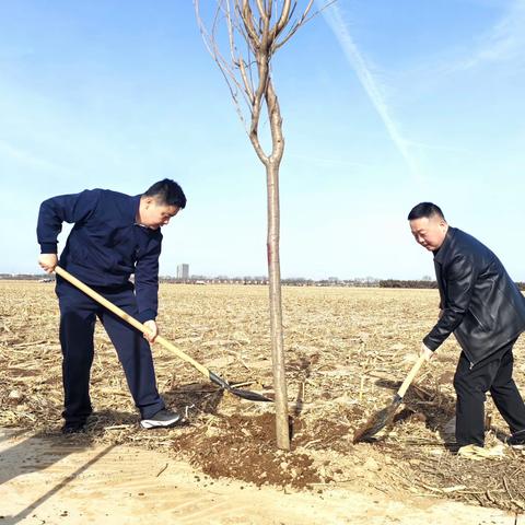 县民政局组织干部职工开展义务植树活动