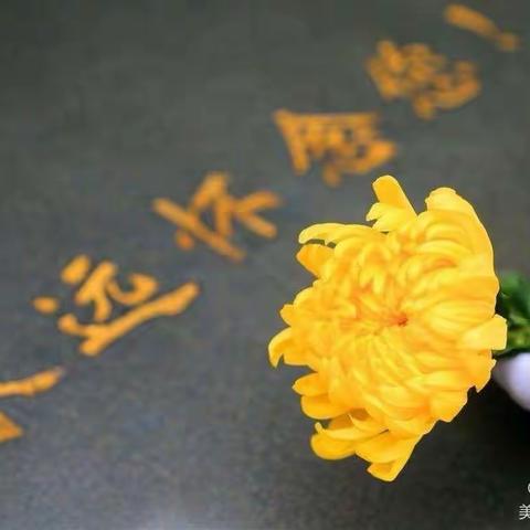 清明节文明祭祀倡议书
