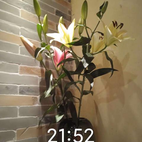 笋岗店3月11日收市检查