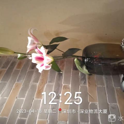 笋岗店4月18日开市检查