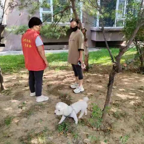 文明养犬   共筑和谐家园———太西街道府秀社区