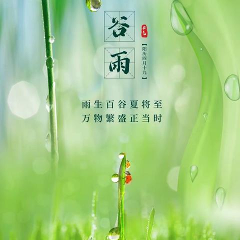 【识节气•知传统】雨生百谷，走进谷雨——新密市市直第二幼儿园谷雨主题活动