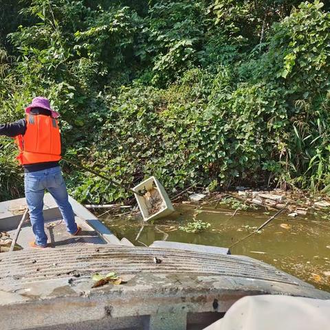 梅仙镇扎实推进河道清理工作