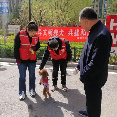 倡导文明养犬 共建和谐社区