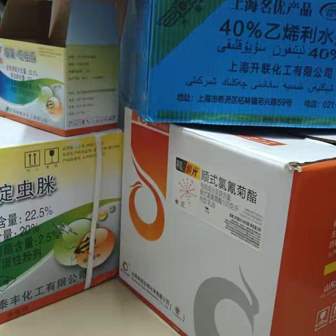 朝美村委会继续开展基孔肯雅热疫情防控工作