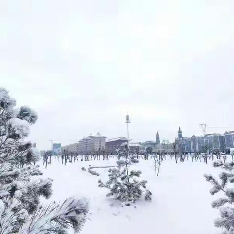 “冬雪悄然至，安全记心间”——馆陶县徐村小学雪后安全提醒