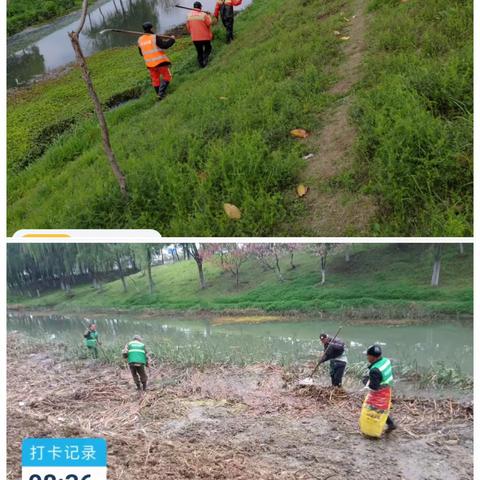 【明日环境—合肥项目部】对斑鸠堰河河道进行大清理活动