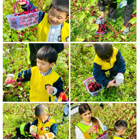 峰江街道小精灵幼儿园——亲近大自然，一起“趣”秋游亲子研学活动