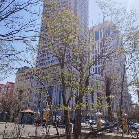 黑龙江省瑞嘉合源物业服务有限公司公园一品服务中心2024年4月份工作总结