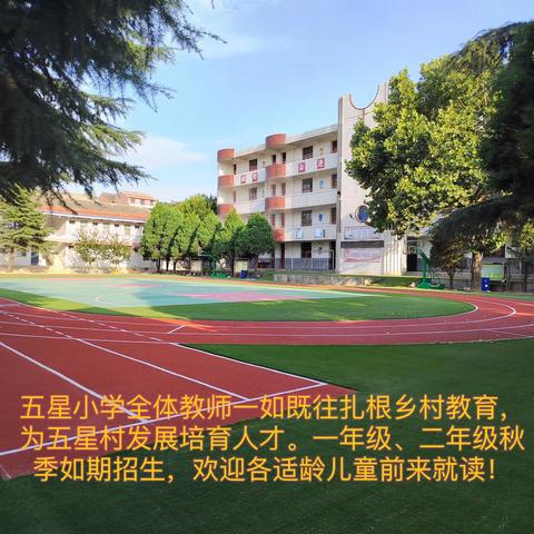 在热爱里守望花开——蔡家坡五星小学四年级班主任张娜老师工作点滴