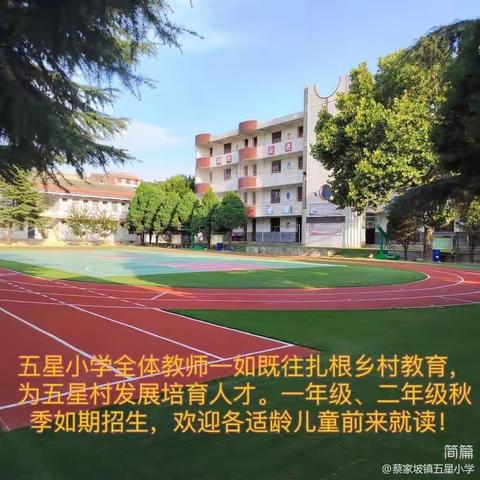 五星小学 青年教师评教赛讲活动纪实