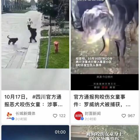 温馨提示：文明养犬、“宠”我做起