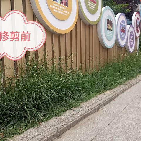 至美党建 引领向美 第7期｜三实小：学思想 强党性 重实践 建新功