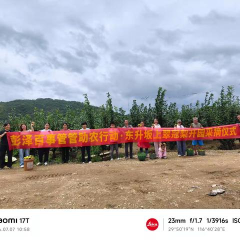 九江彭泽县东升镇坂上翠冠梨甜蜜开园 百事管管 携网友助农采摘助力乡村振兴