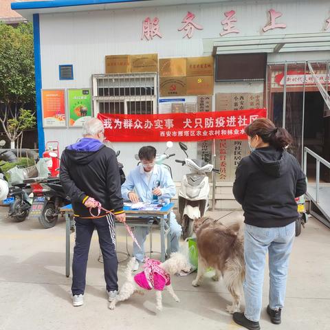 【新时代文明实践站】二一二所社区开展“我为群众办实事，犬只防疫进社区”活动