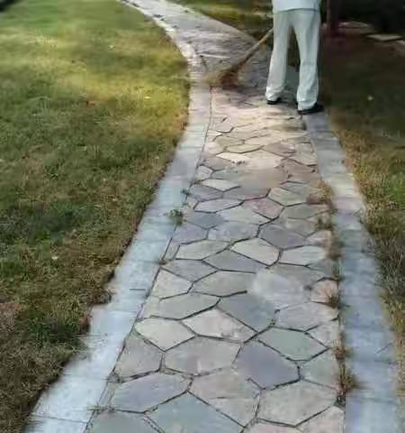 【半截河街道名门尚居社区】创卫工作动态