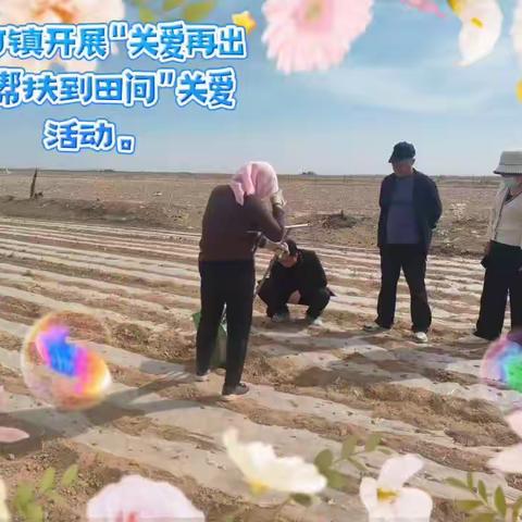 夹河镇开展“关爱再出发·帮扶到田间”关爱活动。