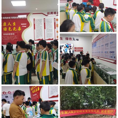 “护苗成长·护航青春”青少年护苗专项行动宣传活动