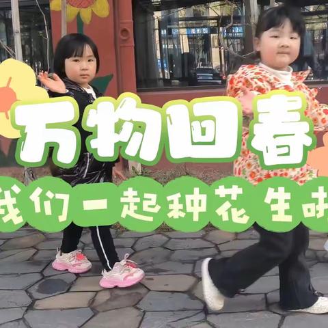 伟才幼儿园中三班一周精彩时光回顾