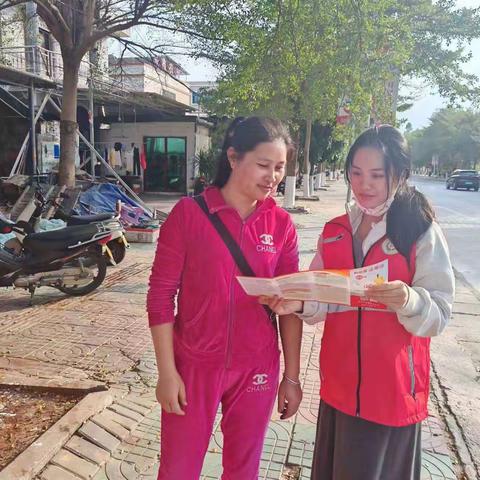 新龙镇网格员开展《预防未成年人违法犯罪》宣传