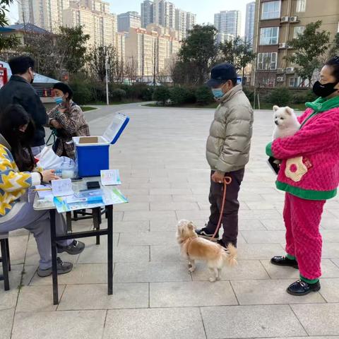 东泰社区——狂犬疫苗进社区，文明养宠在行动